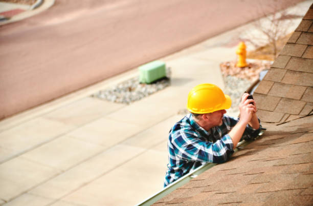 Best Roof Insulation Installation  in Pine Lawn, MO