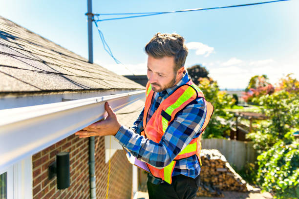 Best Skylight Installation and Repair  in Pine Lawn, MO