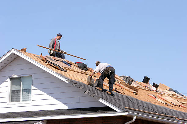 Best Metal Roofing Installation  in Pine Lawn, MO